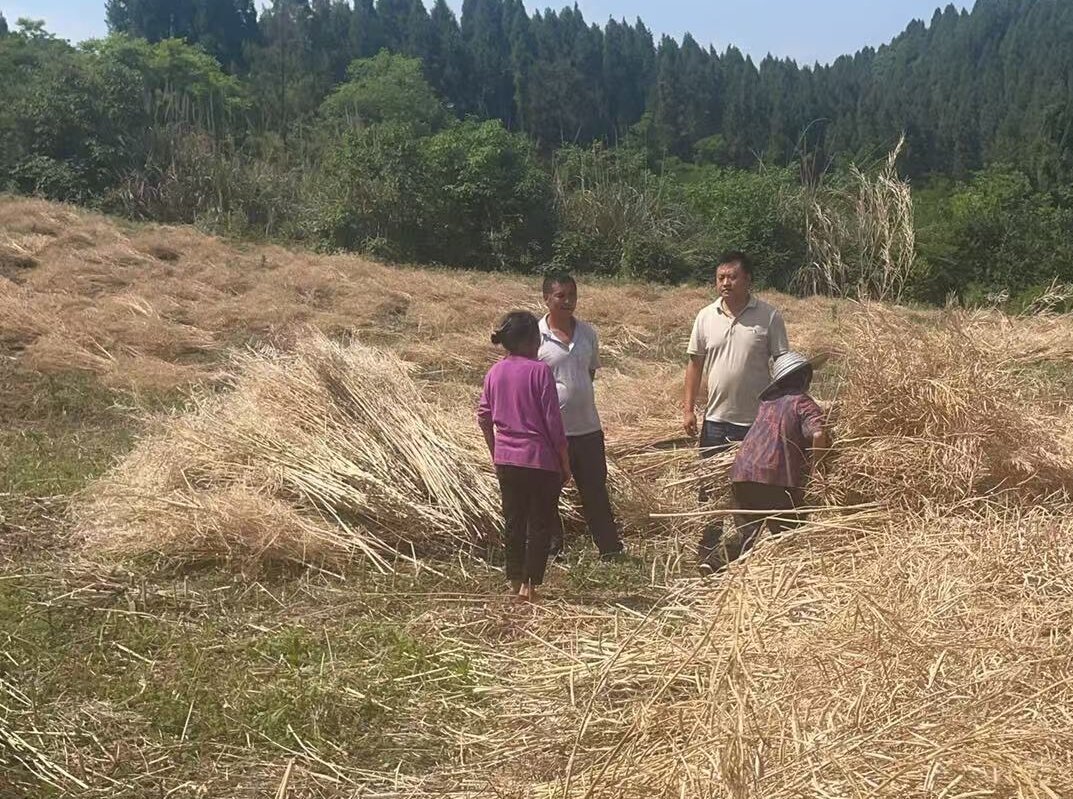 盛池人大:"三强化"举措助推秸秆禁烧工作见实效