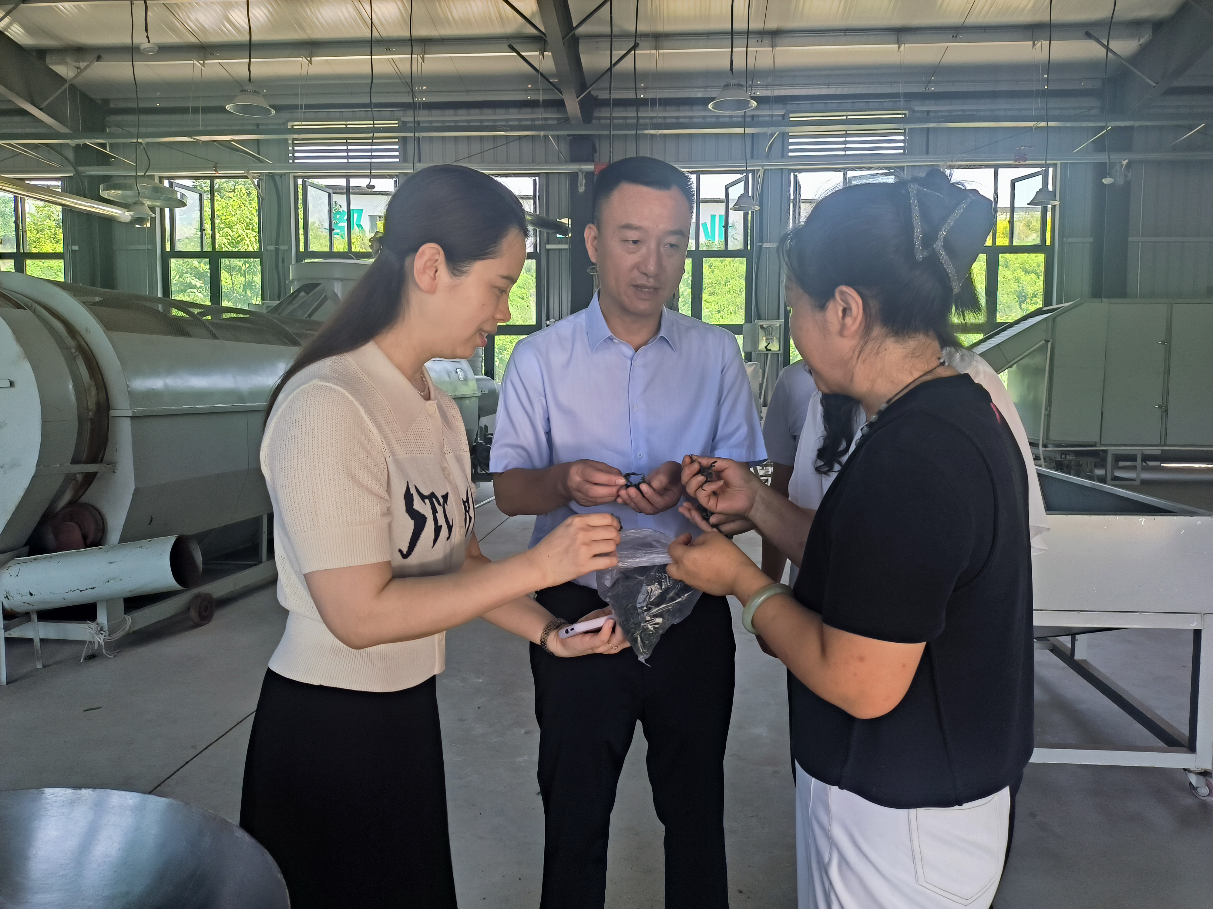 县人大常委会党组书记、主任到东山镇蚕桑产业园...